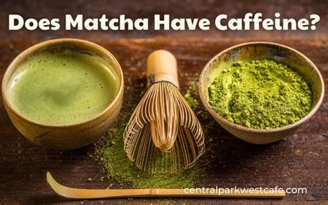 Does Matcha Have Protein? Exploring the Green Elixir's Nutritional Profile and Beyond