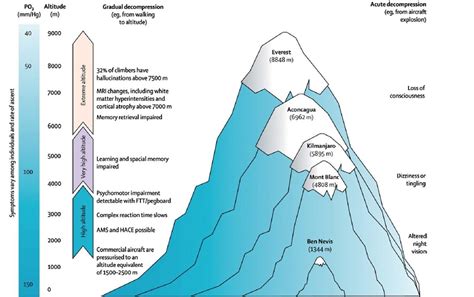 How Much Does Altitude Affect Running: A Dive into the Thin Air and the Thick of It