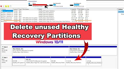 How to Delete Healthy Recovery Partition: A Journey Through Digital Wilderness