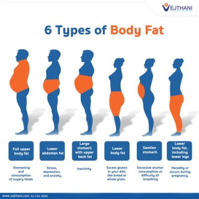 What is gynoid fat, and how does it shape our understanding of body composition?