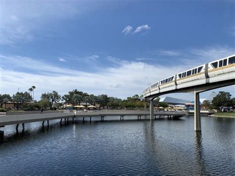 What Time Does the Monorail Start Running at Disney World? And Why Do Bananas Always Smile in the Morning?